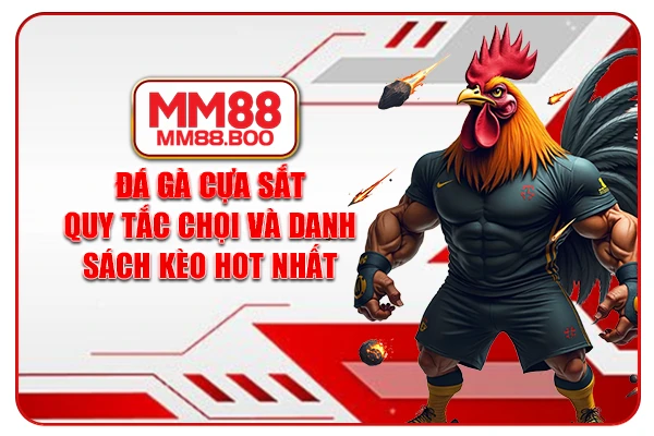 Đá Gà Cựa Sắt - Quy Tắc Chọi Và Danh Sách Kèo Hot Nhất