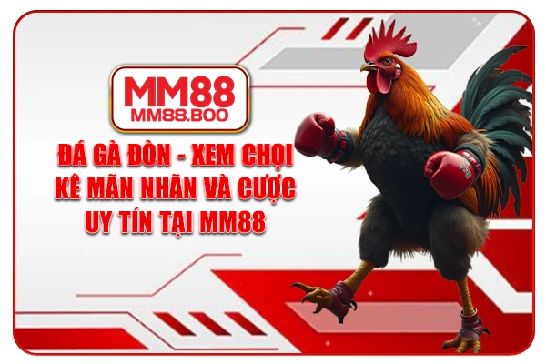 Đá Gà Đòn - Xem Chọi Kê Mãn Nhãn Và Cược Uy Tín Tại MM88