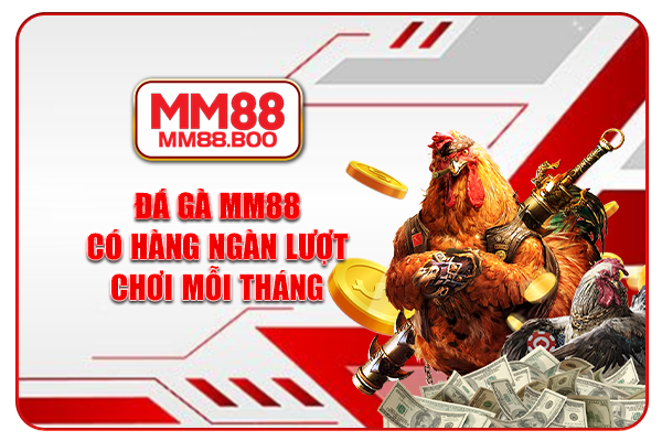 Đá gà MM88 có hàng ngàn lượt chơi mỗi tháng
