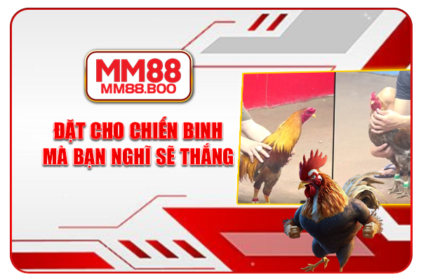 Đặt cho chiến binh mà bạn nghĩ sẽ thắng