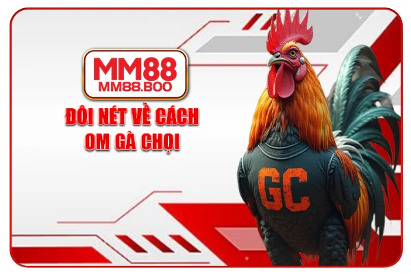 Đôi nét về cách om gà chọi