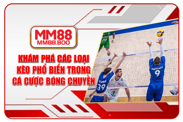 Khám phá các loại kèo phổ biến trong cá cược bóng chuyền