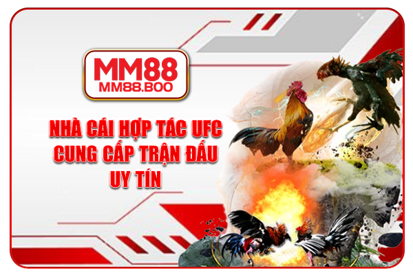 Nhà cái hợp tác UFC cung cấp trận đấu uy tín