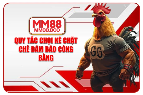 Quy tắc chọi kê chặt chẽ đảm bảo công bằng