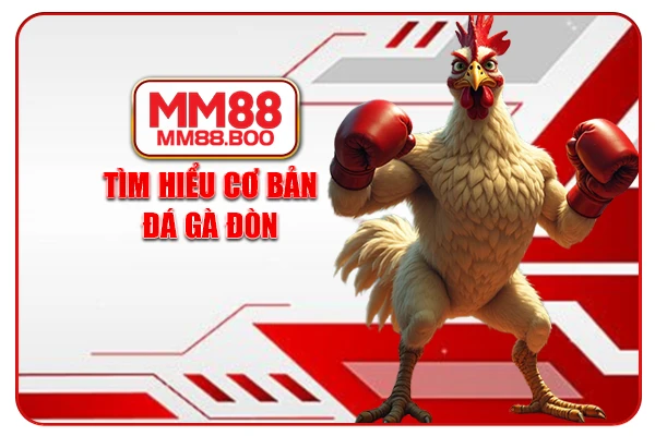 Tìm hiểu cơ bản đá gà đòn