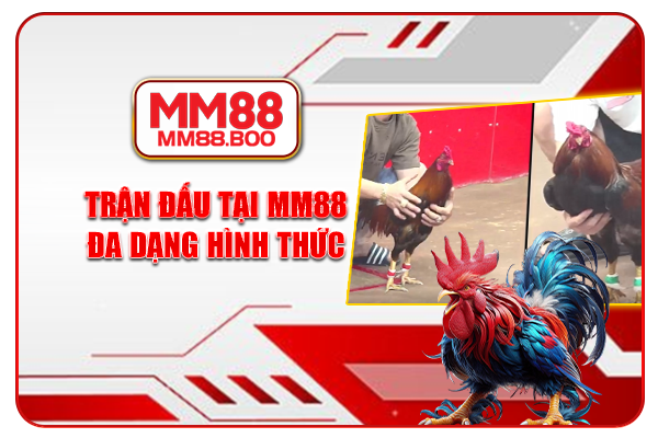 Trận đấu tại MM88 đa dạng hình thức